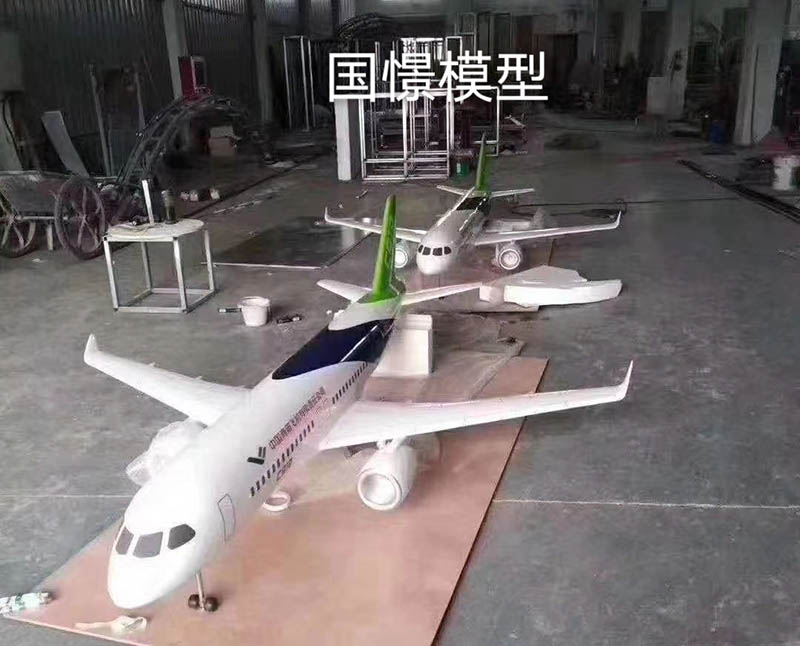 博野县飞机模型